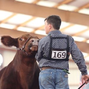 Meet your Posher, Greer